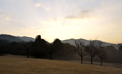 写真：奈良の朝