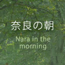 奈良の朝 Nara in the morning